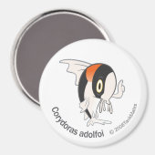 TM-11コリドーラスアドルフォイ マグネット (正面/裏面)