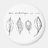 TMII磁石 マグネット (正面)