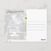 TNナッシュビルのグランドオーレオプリフットブリッジ –  ポストカード (裏面)