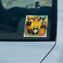 TNRの方が人生は良い ウィンドウサイン