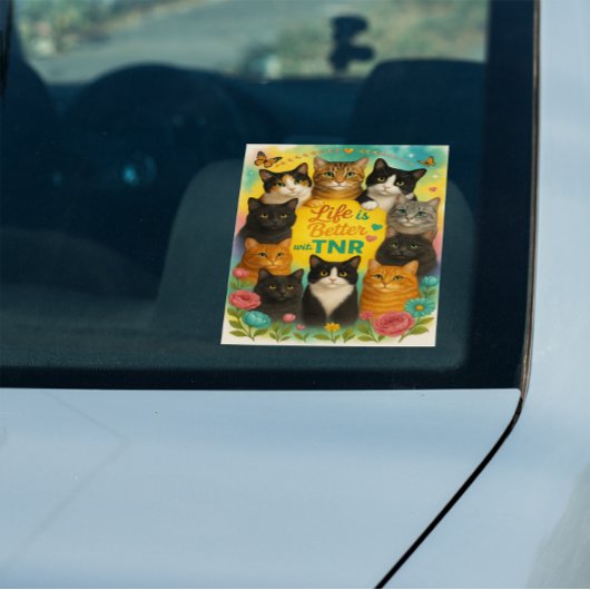 TNRの方が人生は良い ウィンドウサイン