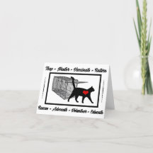 TNRネコ救助トラップニューター・リターンがボランティアを採用