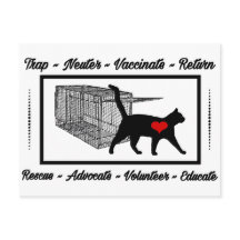 TNRネコ救助トラップニューター・リターンがボランティアを採用