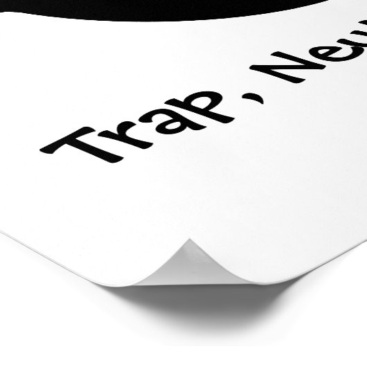 TNR – ファジー子猫 ポスター (角)