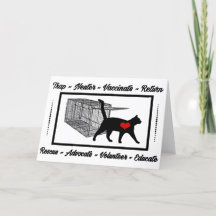 TNR 猫レスキュー トラップ ニューター リターン アダプト ボランティア