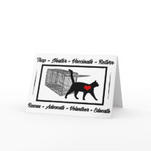 TNR 猫レスキュー トラップ ニューター リターン アダプト ボランティア