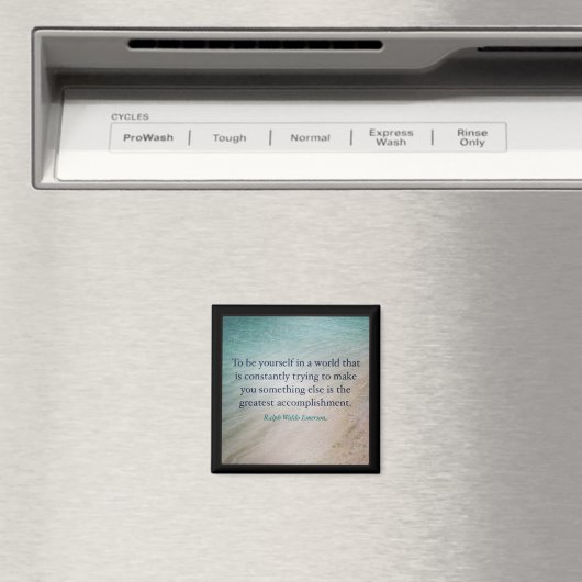 To be yourself マグネット (インサイチュ (食洗機))