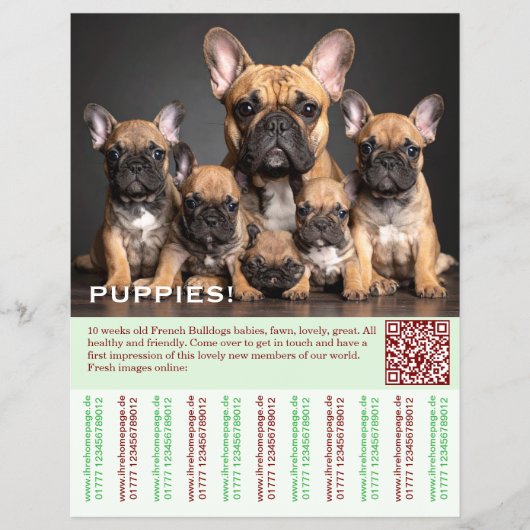 To sell Frenchies Puppy Flyer チラシ (正面)