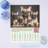 To sell Frenchies Puppy Flyer チラシ (シングル)