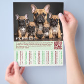 To sell Frenchies Puppy Flyer チラシ (手)