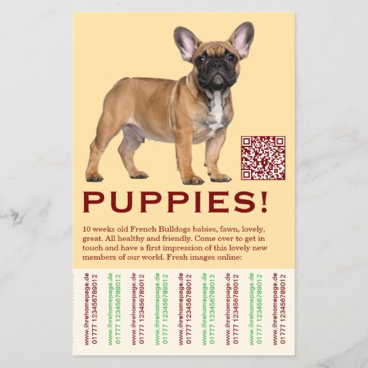 To sell Frenchies Puppy Flyer チラシ (正面)