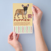 To sell Frenchies Puppy Flyer チラシ (ハンドル)