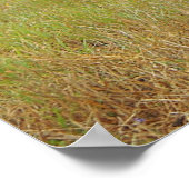 To the Frontポスター ポスター (角)