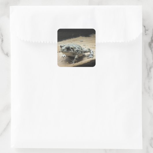 Toadスタンプ スクエアシール (バッグ)