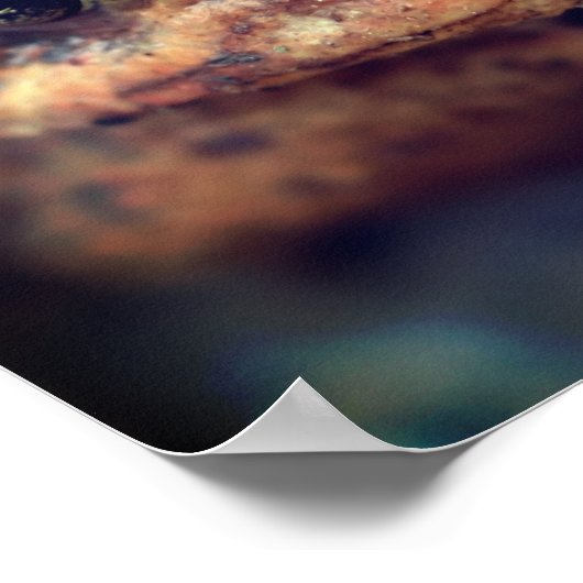 Toad顔アップクローズ ポスター (角)