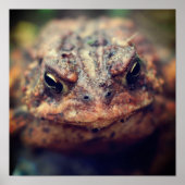 Toad顔アップクローズ ポスター (正面)