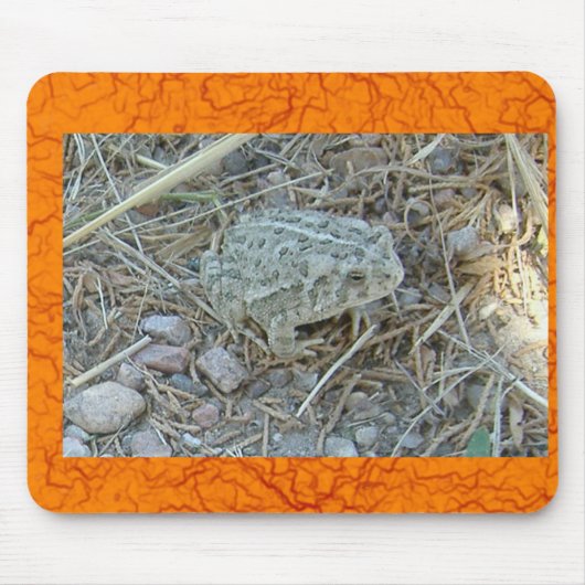 TOADally Free マウスパッド (正面)