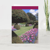 Toadstool装飾刈り込み法カード カード (裏面)