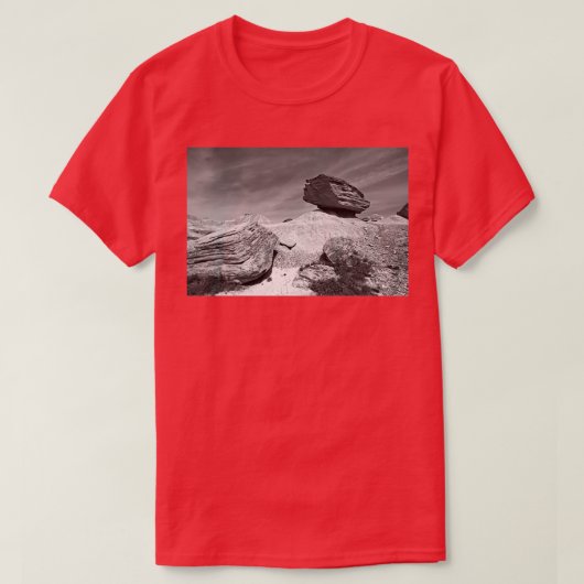 Toadstool Geological Park Monochrome Tシャツ (デザイン正面)