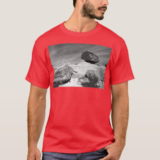 Toadstool Geological Park Monochrome Tシャツ