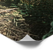 Tobermory, Isle of Mull, Scotland Scenic ポスター (角)