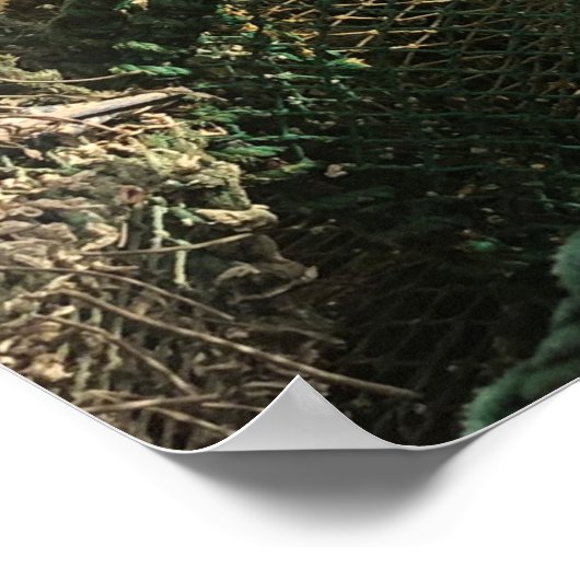 Tobermory, Isle of Mull, Scotland Scenic ポスター (角)