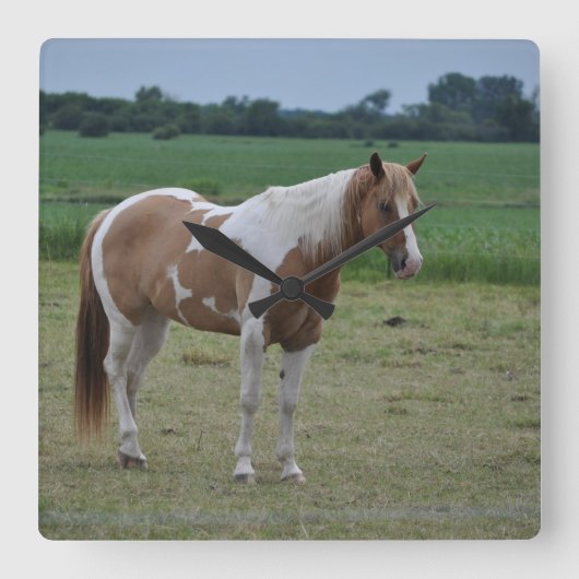 Tobianoのペンキの馬 スクエア壁時計 (正面)