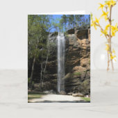 Toccoaはメッセージカード(夏の)下ります カード (黄色い花)