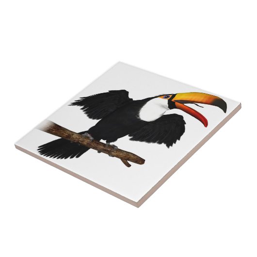 Toco Toucan タイル (側面)