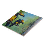 Toco Toucan タイル (側面)