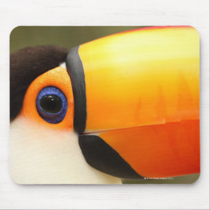 Toco Toucan (Ramphastosのtoco)は最も大きいです マウスパッド