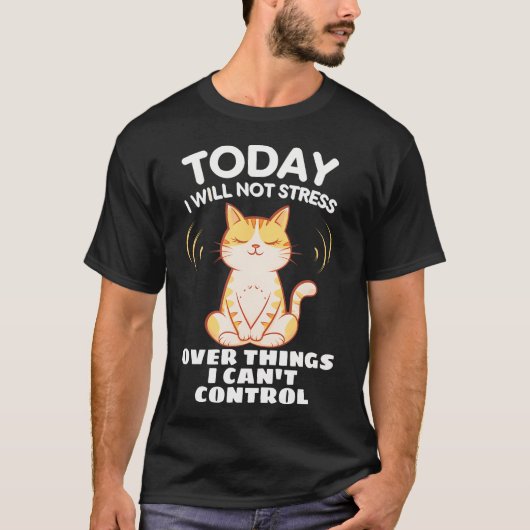 Today I Will Not Stress Over Things I Can'T Contro Tシャツ (正面)