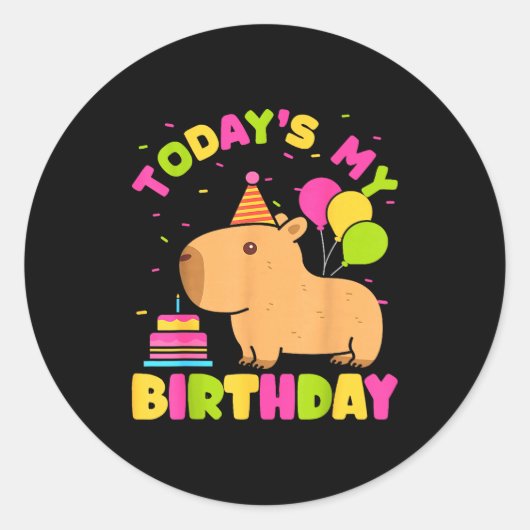 Todays My Birthday Girls Capybara Lovers Birthday  ラウンドシール (正面)