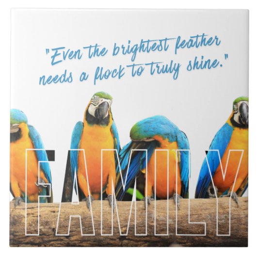 "Together We Shine" タイル (正面)