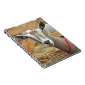 Toggenburg乳製品ヤギ・ドゥ ノートブック (右側)