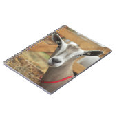 Toggenburg乳製品ヤギ・ドゥ ノートブック (左側)