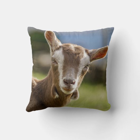 Toggenburg Dairy Goat Kid クッション (裏面)