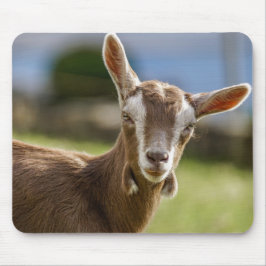 Toggenburg Dairy Goat Kid マウスパッド