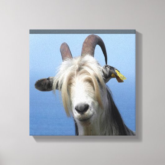 Toile chèvre キャンバスプリント (正面)