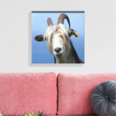 Toile chèvre キャンバスプリント (インサイチュ (リビング))