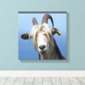 Toile chèvre キャンバスプリント (インサイチュ (ウッドフロア))