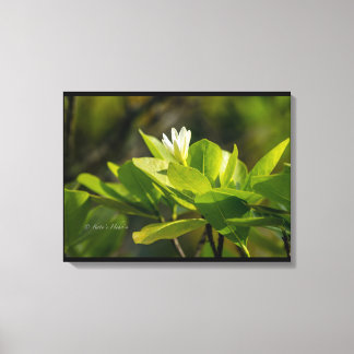 Toile "Tiare Tahiti" photographie Itata'e Hoho'a  キャンバスプリント