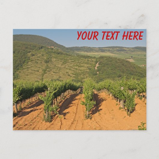Tokaj Vineyards、ハンガリーのカスタマイズ可能なはがき ポストカード (正面)