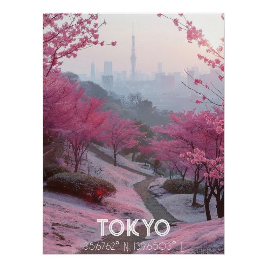 Tokio: Fotografía Artística con Coordenadas. ポスター (正面)