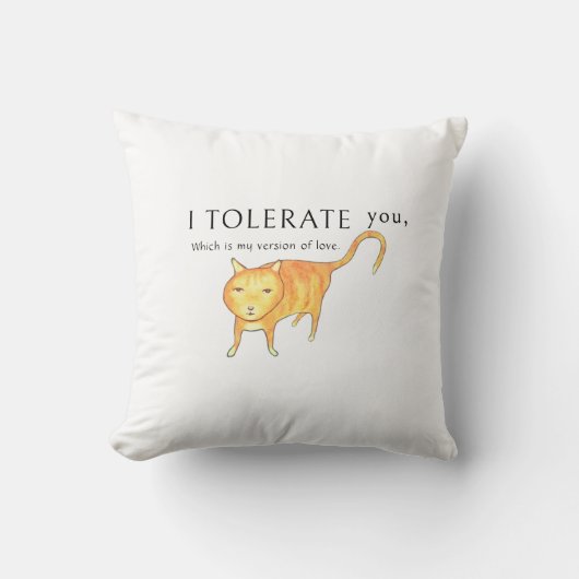 Tolerant Apathetic Orange Cat クッション (正面)