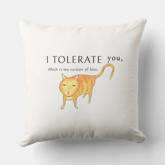 Tolerant Apathetic Orange Cat クッション (裏面)