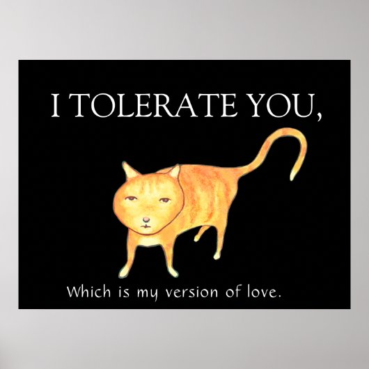 Tolerant Apathetic Orange Cat ポスター (正面)