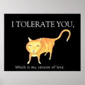 Tolerant Apathetic Orange Cat ポスター (正面)