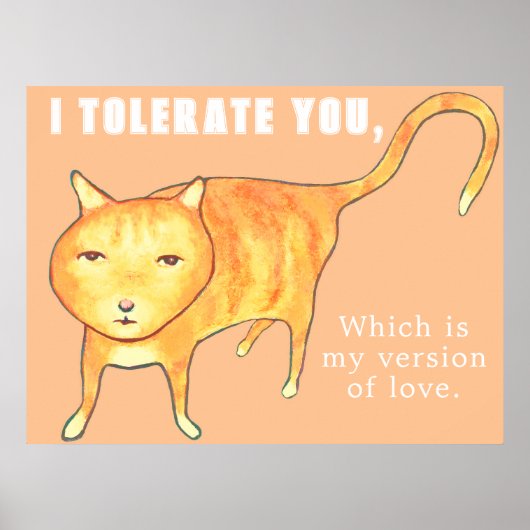 Tolerant Apathetic Orange Cat ポスター (正面)