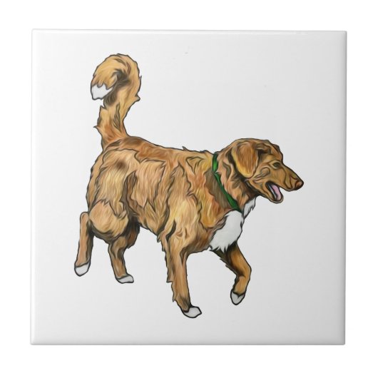 Tollerのタイル タイル (正面)